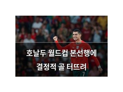 호날두 월드컵 본선행에 결정적 골 터뜨려