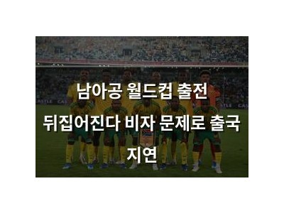 남아공 월드컵 출전 뒤집어진다 비자 문제로 출국 지연