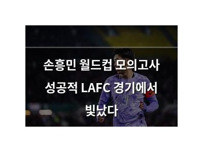 손흥민 월드컵 모의고사 성공적 LAFC 경기에서 빛났다
