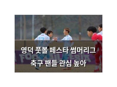 영덕 풋볼 페스타 썸머리그 축구 팬들 관심 높아