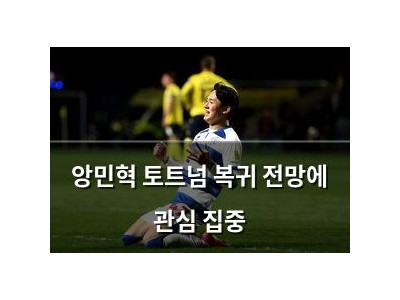 앙민혁 토트넘 복귀 전망에 관심 집중