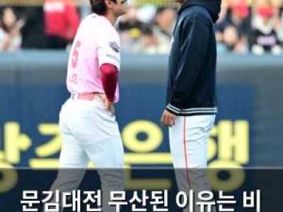 문김대전 무산된 이유는 비 때문이었네