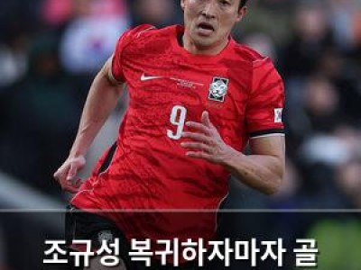 조규성 복귀하자마자 골 터뜨려