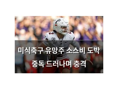 미식축구 유망주 소스비 도박 중독 드러나며 충격