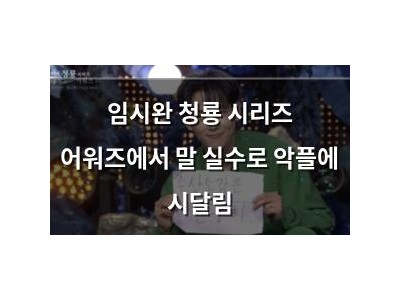 임시완 청룡 시리즈 어워즈에서 말 실수로 악플에 시달림