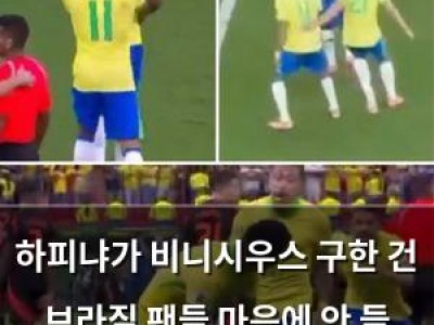 하피냐가 비니시우스 구한 건 브라질 팬들 마음에 안 들 것 같음