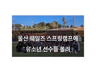울산 웨일즈 스프링캠프에 유소년 선수들 몰려