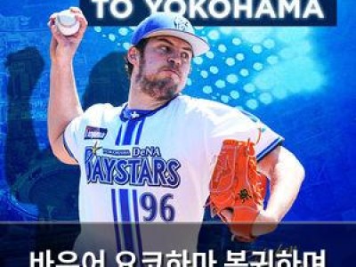 바우어 요코하마 복귀하며 사와무라상 노리는 듯