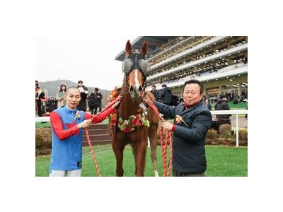 케이닉스로 선발된 씨수말 두 마리가 경주마로서 기대감 높아