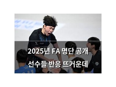 2025년 FA 명단 공개 선수들 반응 뜨거운데